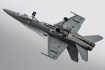 McDonnell Douglas F-18C Hornet